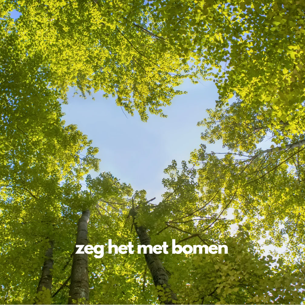 Een stukje bos voor mama, papa, juf of meester