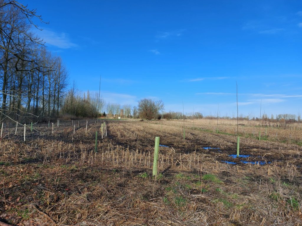Uitbreiding Rubbensbos